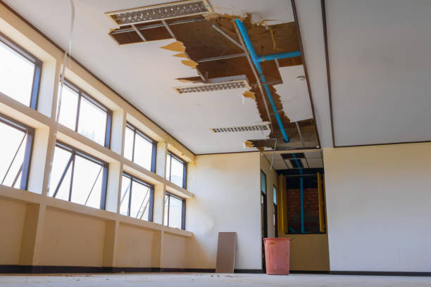 Best Flood damage cleanup  in Stanaford, WV