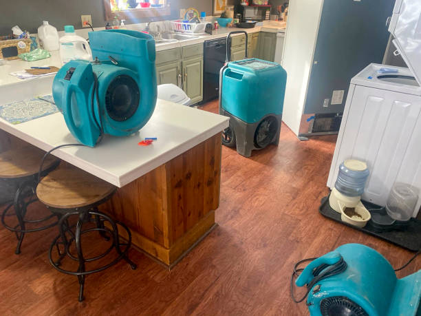 Best Commercial water damage restoration  in Stanaford, WV