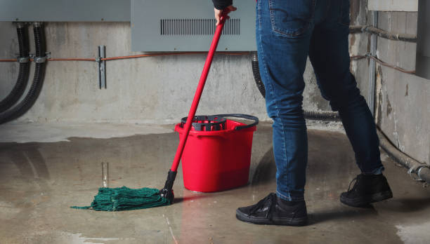 Best Water damage restoration experts  in Stanaford, WV