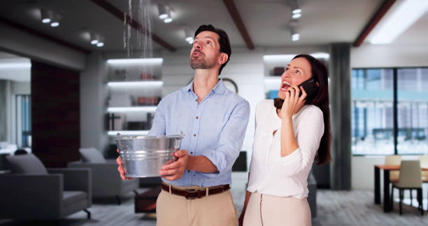 Best Water damage contractors near me  in Stanaford, WV